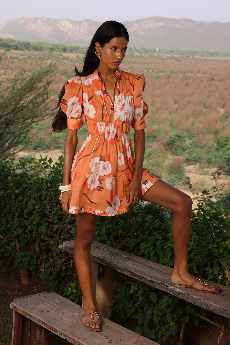 Ashburn Apricot Alice Mini Dress